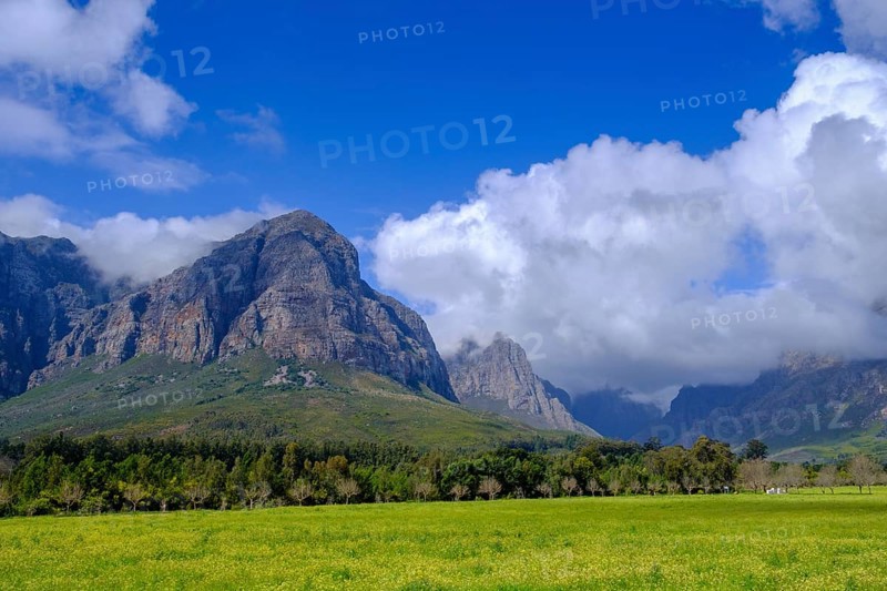 Mountains Jonkershoek Nature Reserve, Stellenbosch, Western Cape, South Africa, Africa