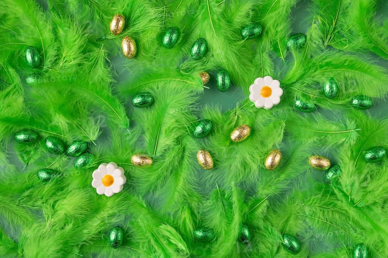 Spring-like background with green feathers, chocolate eggs and two flowers