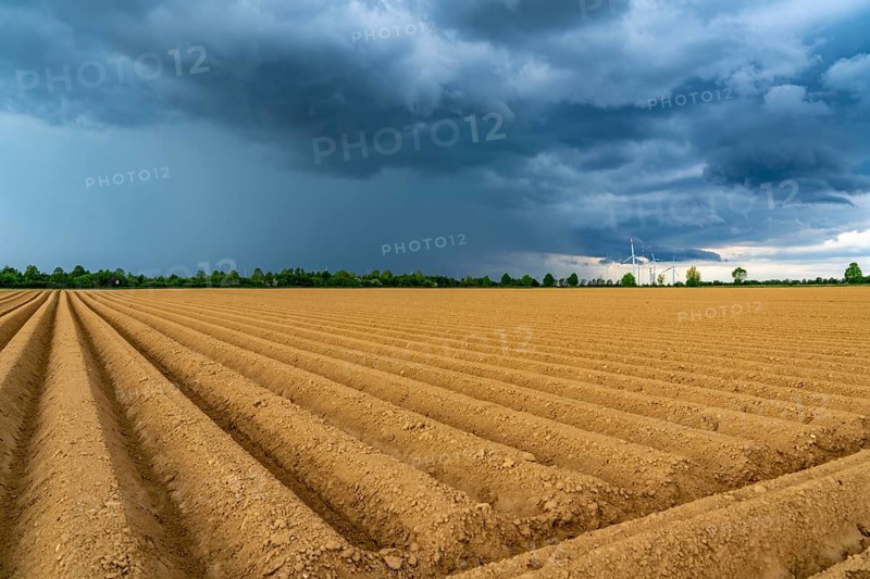 Dark rain clouds, thunderclouds over a potato field, near Grevenbroich, North Rhine-Westphalia, Germany, Europe