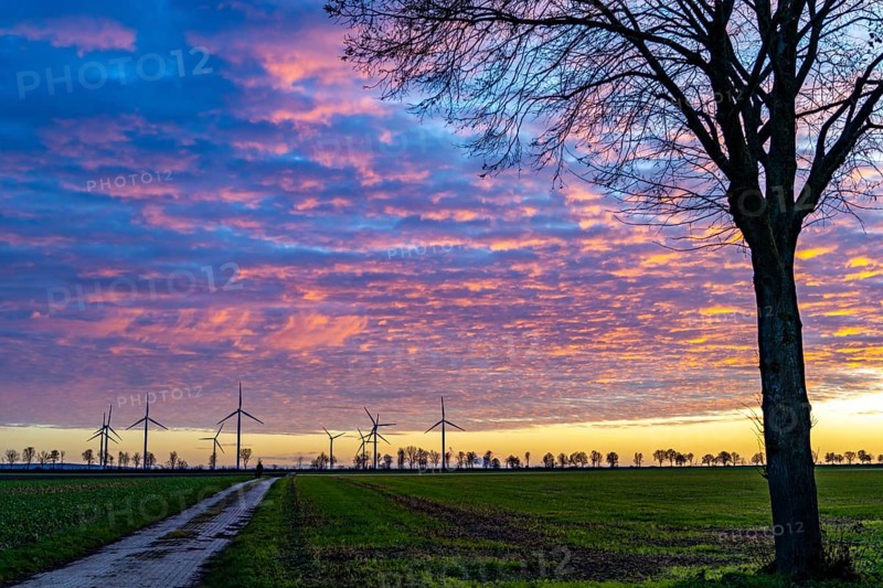 Wind farm near Holzweiler, town of Erkelenz, wind power plants, North Rhine-Westphalia, Germany, Europe