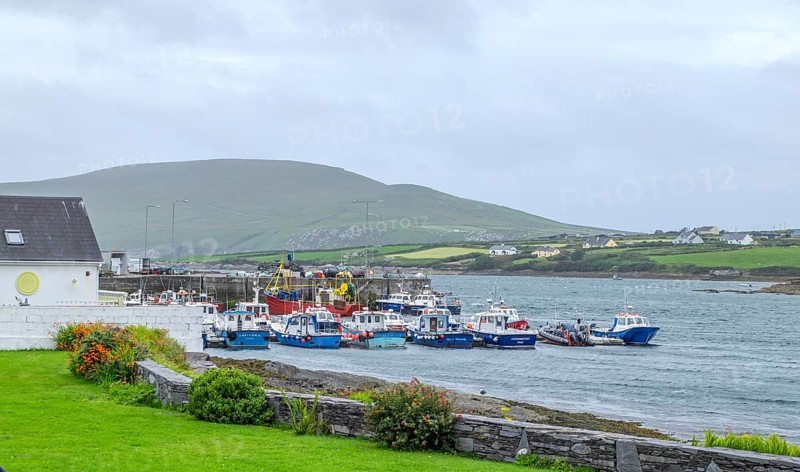 View of the harbour of Portmagee, starting point to the Skellig Islands, west coast, Portmagee, Iveragh Peninsula, County Kerry, Ireland, Europe