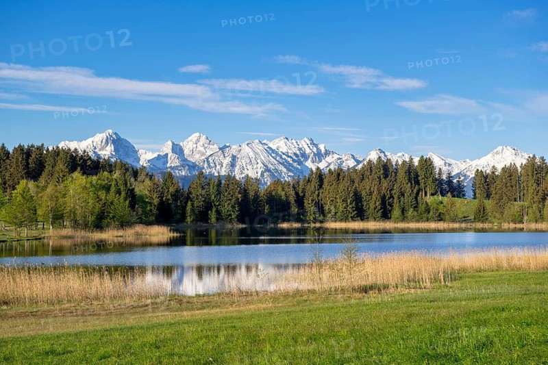 Hegratsrieder See near Füssen, Allgäu Alps, snow, Allgäu, Bavaria, Germany, Europe