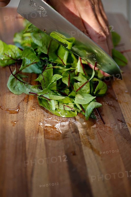 Southern German cuisine, preparation of sorrel soup with char, blood sorrel (Rumex sanguineus), cutting sorrel, knife, cutting board, wooden board, healthy, savoury, salty, man's hand, traditional cuisine, food photography, studio, Germany, Europe