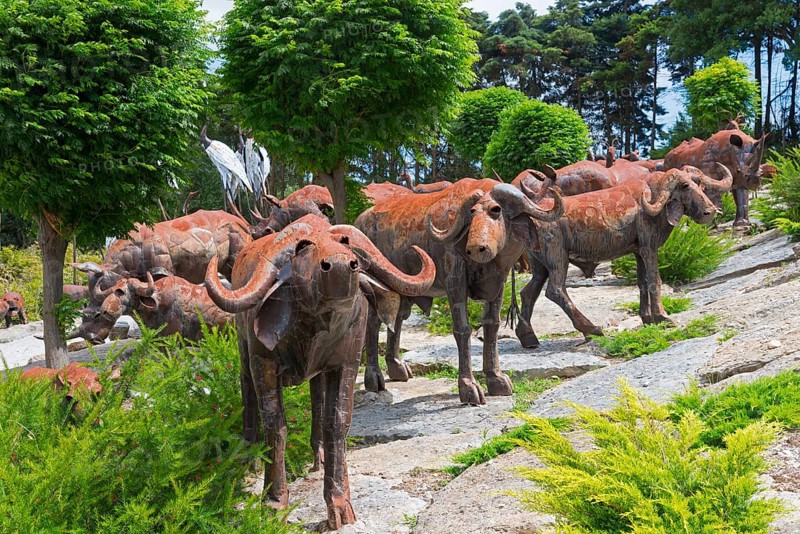 Group of metal sculptures depicting buffaloes in a natural setting with trees and shrubs, Bacalhôa, Bacalhoa Buddha Eden, Quinta dos Loridos, largest oriental garden in Europe, Bombarral, Oeste, Centro, Portugal, Europe