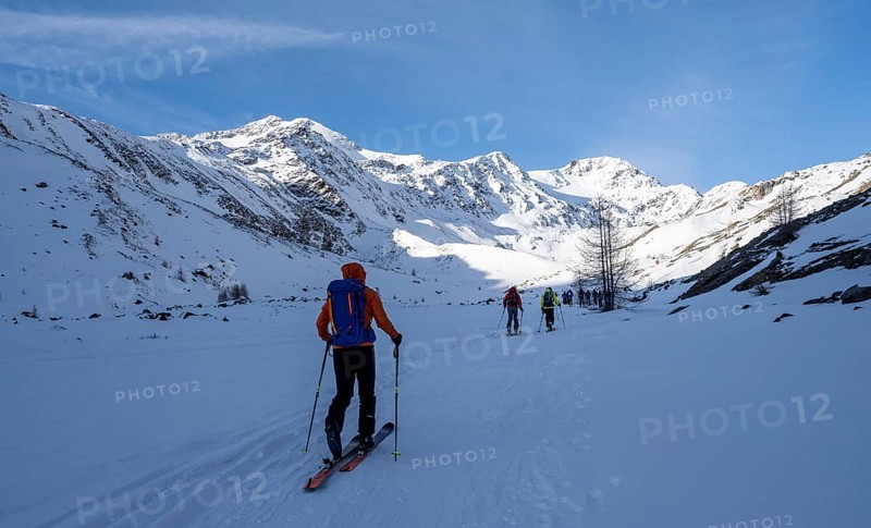 Ski tourers in Val Martello, snow-covered mountain landscape, Monte Cevedale mountain peak in the background, Ortler Alps, Vinschgau, Italy, Europe