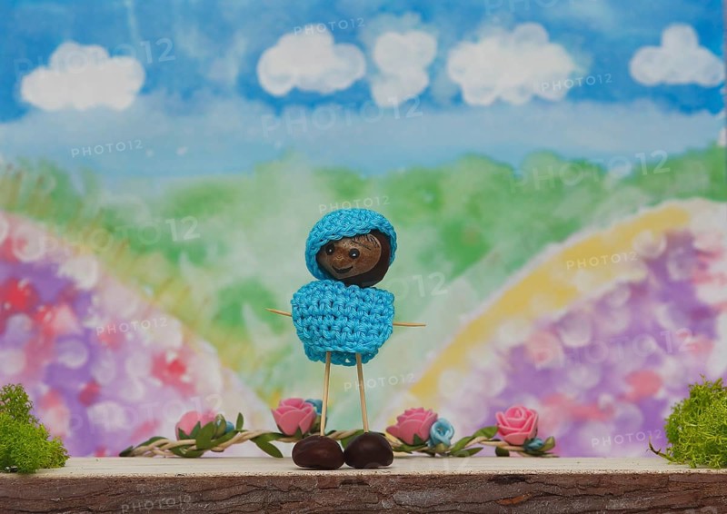 Chestnut figure with hat and jumper in the studio