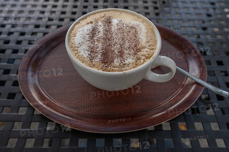 Cappuccino with cocoa powder, Bavaria, Germany, Europe