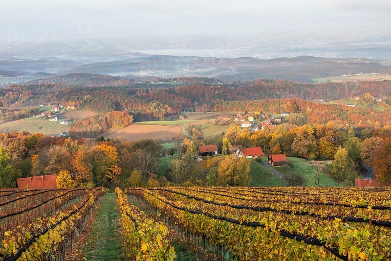 Morning atmosphere at the vineyard, fog drifts over wooded hills in the valley, St. Andrä-Höch, Sausal wine country, Styria, Austria, Europe