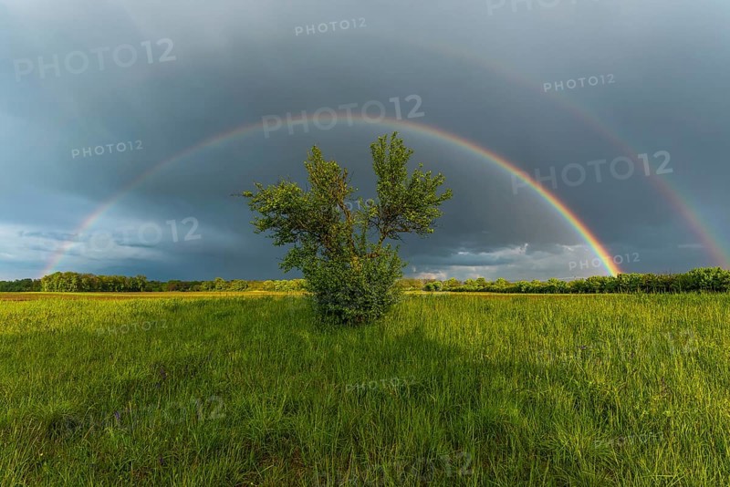 Appearance of a double rainbow in front of a late afternoon storm. Alsace, France, Europe