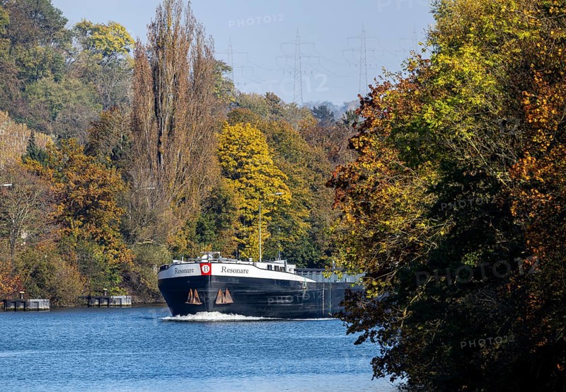 Barge RESONARE underway on the Neckar, vineyards in autumn. The barge has an overall length of 105 metres, maximum length for the locks on the upper Neckar. Stuttgart, Baden-Württemberg, Germany, Europe