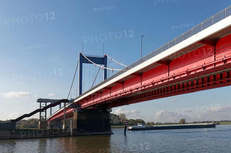 Friedrich-Ebert-Brücke, bridle belt bridge from 1954, Rhine bridge, Duisburg, North Rhine-Westphalia, Germany, Europe