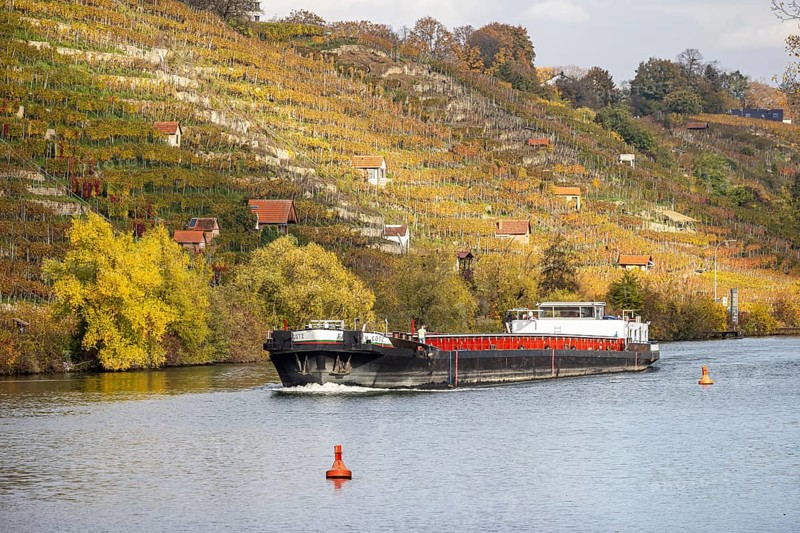 Barge MS FRIEDRICH GÖTZ on the Neckar, vineyards in autumn. The barge has an overall length of 105 metres, maximum length for the locks on the upper Neckar. Stuttgart, Baden-Württemberg, Germany, Europe