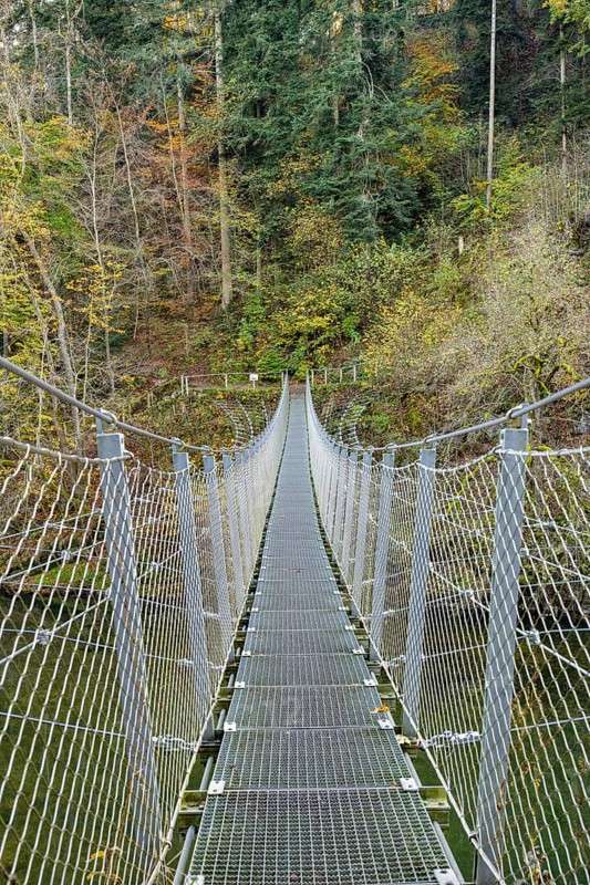 A pedestrian suspension bridge opened in 2019 crosses the Danube in Inzigkofen Princely Park, Danube Valley, Sigmaringen district, Baden-Württemberg, Germany, Europe