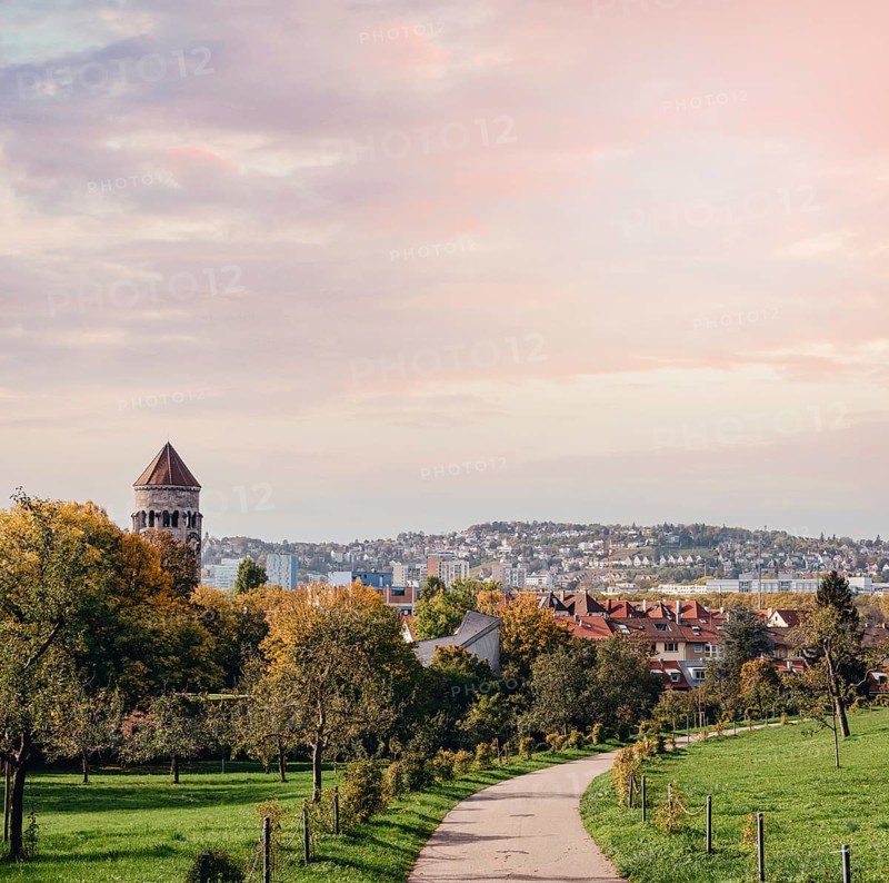 Germany, Stuttgart panorama view. Beautiful houses in autumn, Sky and nature landscape. Vineyards in Stuttgart, colorful wine growing region in the south of Germany with view over Neckar Valley. Germany, Stuttgart city panorama view above vineyards, industry, houses, streets, stadium and highway at sunset in warm orange light, Europe