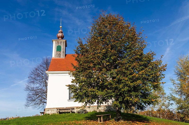 Autumn atmosphere with foliage colouring, Theresienkapelle, Mass Chapel Maria vom Guten Rat, Sausal, Styria, Austria, Europe