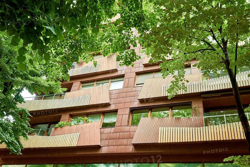 Eco-friendly building in the city. Green tree branches with leaves and sustainable glass building for reducing heat and carbon dioxide. Office building with green environment. Go green concept. Residential area with ecological and sustainable green residential buildings, low-energy houses with apartments and green courtyard