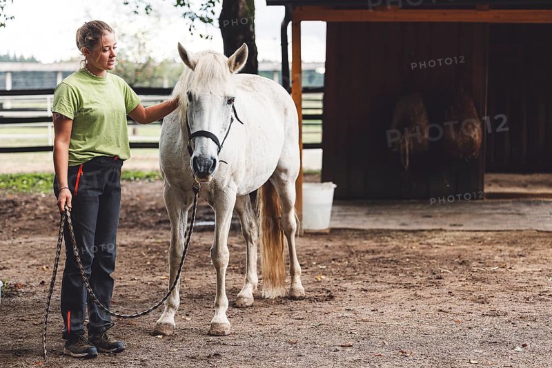 Caucasian woman trainer holding a white horse on the leash, taking hime horseback riding on the ranch