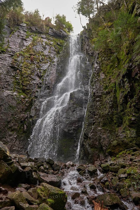 Waterfall in the forest, Burgbach waterfall near Schapbach, Black Forest, Baden-Wurttemberg, Germany, Europe
