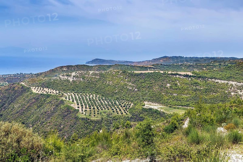 Hilly landscape on the Kassandra peninsula, Chalkidiki, Greece, Europe