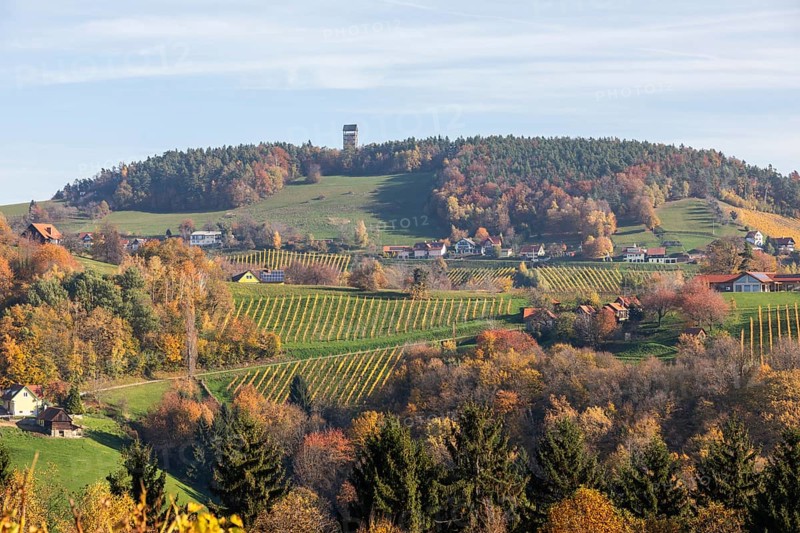 Autumn atmosphere, hilly landscape and vineyard with foliage colouring, behind Demmerkogel with lookout point, St. Andrä-Höch, Sausal, Styria, Austria, Europe