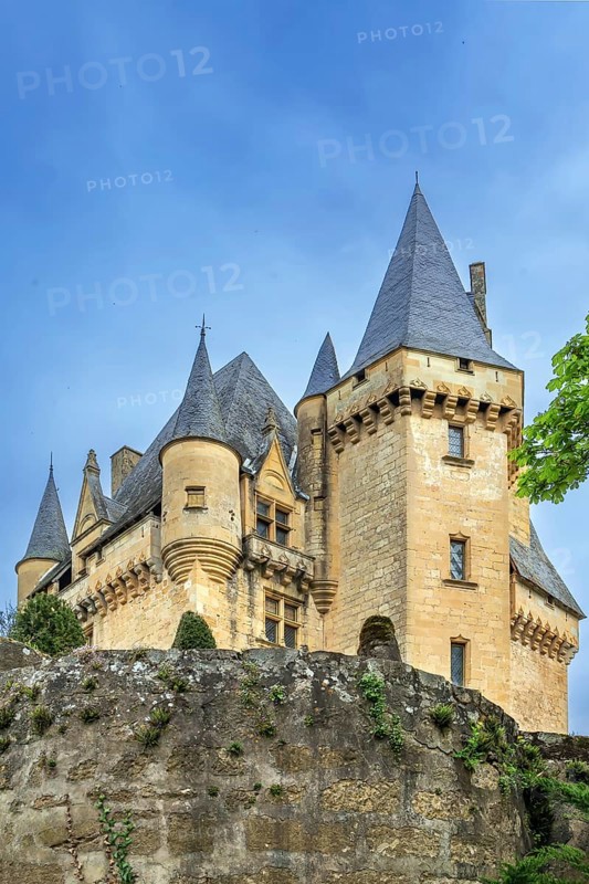 Chateau de Clerans has a beautiful slate roof with spires and ornamental stone work, Saint-Leon-sur-Vezere, Dordogne, France, Europe