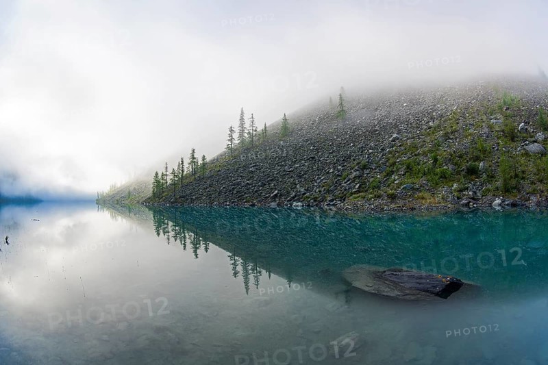 Reflection of the shore of the lake in the watery surface. A misty summer morning. The large (lower) Shavlinsky lake. Altai Mountains, Siberia, Russia, Europe