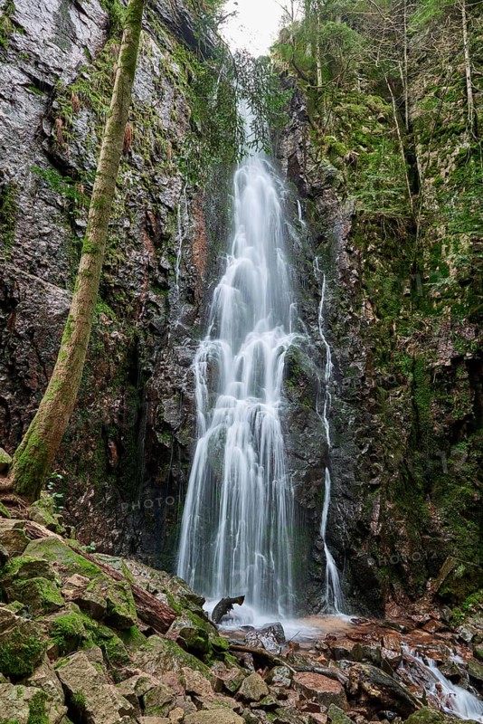 Burgbach Waterfall in coniferous forest falls over granite rocks into the valley near Bad Rippoldsau-Schapbach, Black Forest, Germany. Germany, Amazing beautiful natural waterfall called burgbachwasserfall of river burgbach in black forest nature landscape, a magical place. Germany, Magical wild waterfall at green moss covered rock wall, called burgbachwasserfall in black forest nature landscape like garden eden