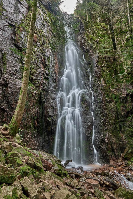 Burgbach Waterfall in coniferous forest falls over granite rocks into the valley near Bad Rippoldsau-Schapbach, Black Forest, Germany. Germany, Amazing beautiful natural waterfall called burgbachwasserfall of river burgbach in black forest nature landscape, a magical place. Germany, Magical wild waterfall at green moss covered rock wall, called burgbachwasserfall in black forest nature landscape like garden eden