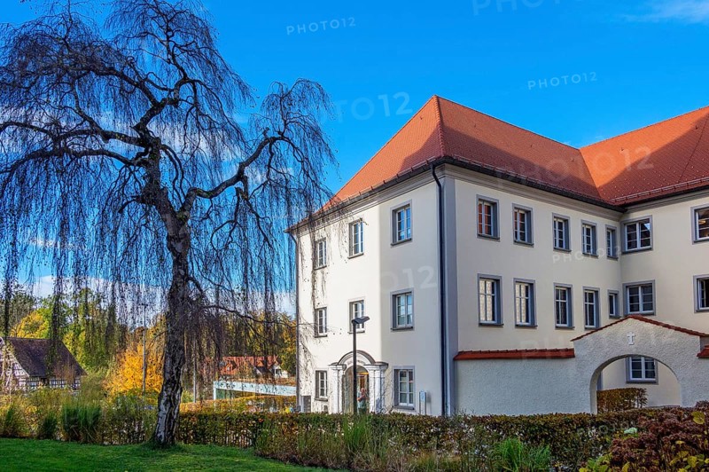 Maria rose garden, former woman's convent, left: silver birch (Betula pendula), Bad Wurzach, Allgäu, Baden-Württemberg, Germany, Europe