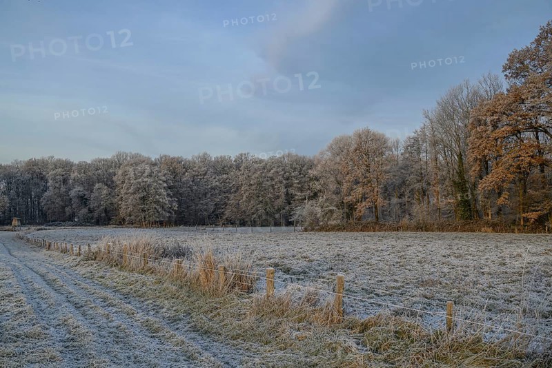 Winter landscape with frost-covered fields and forest in the background, Velen, North Rhine-Westphalia, Germany, Europe