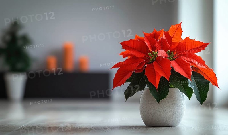 A red poinsettia plant is sitting in a white vase on a wooden table. The vase is placed in front of a window, and there are candles in the background AI generated