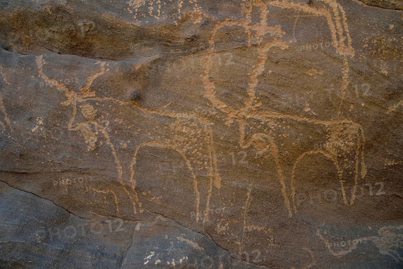 Rock engraving of two antelopes from the Neolithic period, Sabu, Nubia, Sudan, Africa