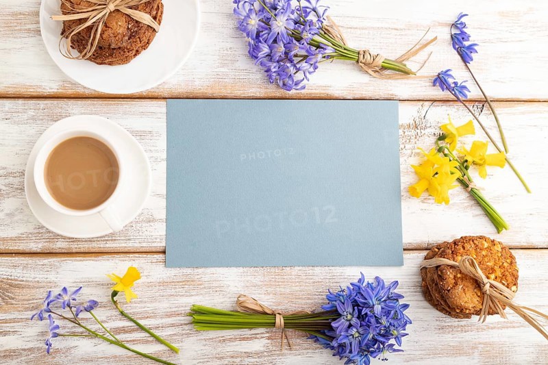 Blue paper sheet with oatmeal cookies, spring snowdrop flowers bluebells, narcissus and cup of coffee on white wooden background. top view, flat lay, copy space, still life. Breakfast, morning, spring concept