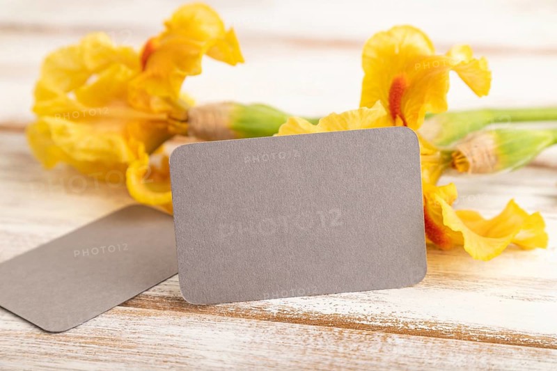 Gray business card with iris yellow flowers on white wooden background. side view, copy space, mockup, template, spring, summer minimalism concept