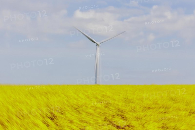 A wind turbine in a rapeseed field, photographed in Vierkirchen, 12/04/2024