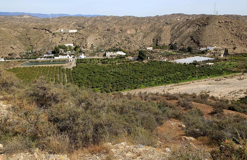 Fruit farming in River Andarax valley viewed from Los Millares prehistoric settlement, near Gador, Almeria, Spain, Europe
