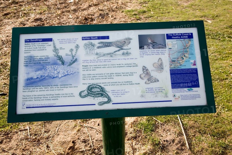 Information board about natural history of the Sandlings heathland at Sutton Heath, Suffolk, England, United Kingdom, Europe