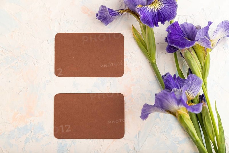 Brown business card with blue iris flowers on white concrete background. top view, flat lay, copy space, still life. Breakfast, morning, spring concept