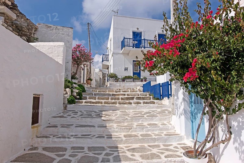 Alley with bougainvillea and oleander, Parikia, Paros, Clyclades, Greece, Europe