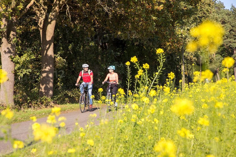 Cyclist, cycle tour in the Dingdener Heide nature reserve, heath and moorland landscape, north of the village of Dingden, part of Hamminkeln, cultural landscape, North Rhine-Westphalia, Hohe Mark Westmünsterland nature park Park
