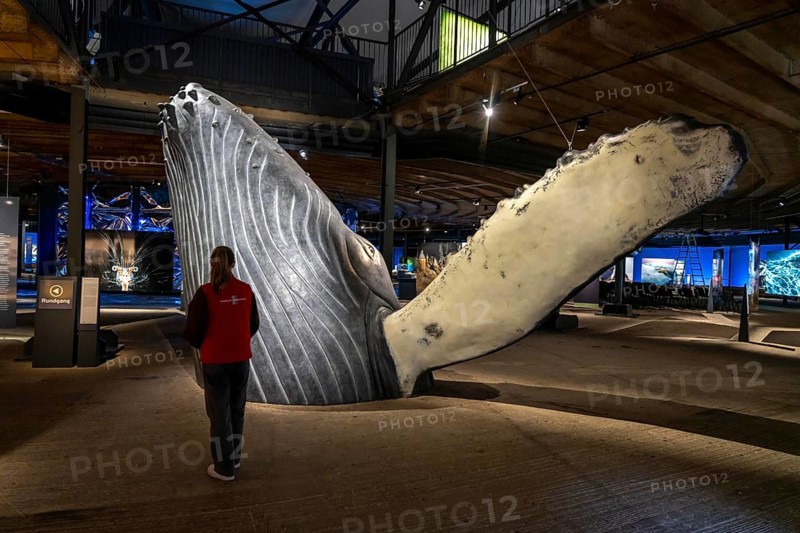 Plante Ozean exhibition in the Gasometer in Oberhausen, the world's oceans in their fragile beauty are the focus of the new exhibition, large-format photos, exhibits including a whale skeleton and an immersive large-scale video and sound installation, The Wave, on a 40 metre high screen measuring over 1000 square metres in total can be seen, Oberhausen, Germany, Europe
