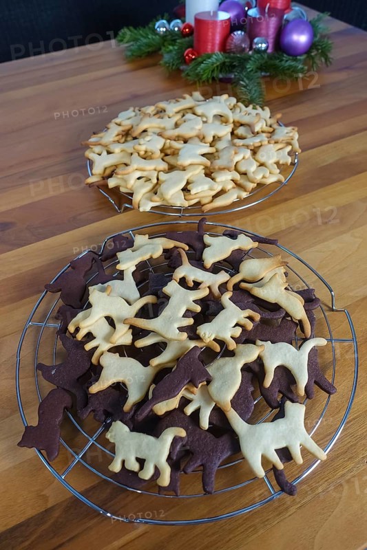 Swabian cuisine, Swabian Christmas biscuits, Ausstecherle, shortbread biscuits, black cat figures with cocoa, typical Swabian, baking, Christmas biscuits, sweet biscuits, Gutsle, Bredle, baked goods, from the oven, cooling rack, cake rack, traditional cuisine, food photography, studio, Germany, Europe