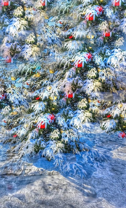 Christmas tree in the snow, Christmas tree, winter landscape, Christmas motif, Christmas, Christmas festival, Advent season, Christmas baubles, jewellery, Advent season, artistic shot, alienation, Christmas card motif, creative photography, all over, all-over pattern, surreal, Germany, Europe