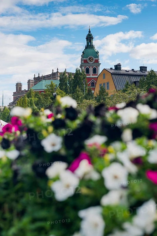 Gamla Stan, old town, centre, attraction, famous, city centre, city trip, tourism, travel, holiday, architecture, historical, UNESCO, world heritage site, church, flowers, colourful, culture, history, city history, medieval, urban, Stockholm, Sweden, Scandinavia, Europe