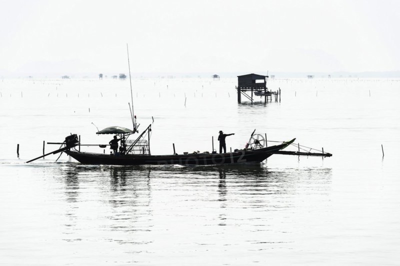 Traditional wooden huts of fishermen in the Gulf of Thailand in the morning haze, fishing boat, fisherman, fishing hut, wooden hut, landscape, southern Thailand, seascape, silhouette, nature, stilt hut, stilt buildings, tradition, traditional, fishing village, water, ocean, calm, work, romantic, monochrome house, accommodation, natural landscape, travel, holiday, coast, hazy, mist, foggy, foggy, tropical, tropics, tourism, cloudy, weather, mood, grey, puristic, visibility, far, far away, Thailand, Asia