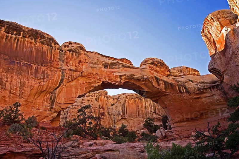 Capitol Reef NP, Utah, USA, Capitol Reef NP, Utah, USA, North America