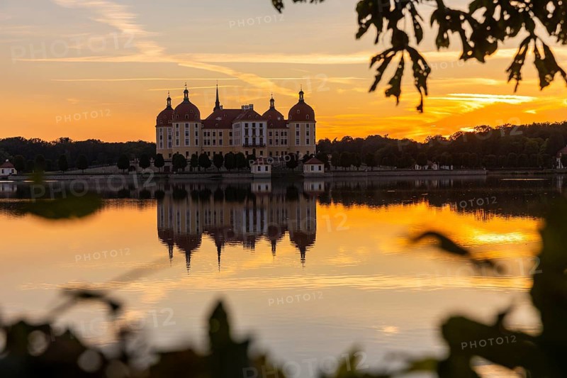 The moated castle, also known as a film set, lies in the middle of a lake and is a popular excursion destination. A pair of swans have built their nest on the lake shore, Moritzburg Baroque Castle, Moritzburg, Saxony, Germany, Europe