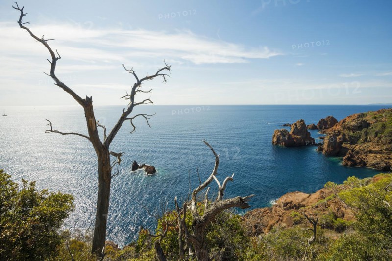 Coast and red rocks, Cap du Dramont, Massif de l'Esterel, Esterel Mountains, Département Var, Région Provence-Alpes-Côte d'Azur, France, Europe
