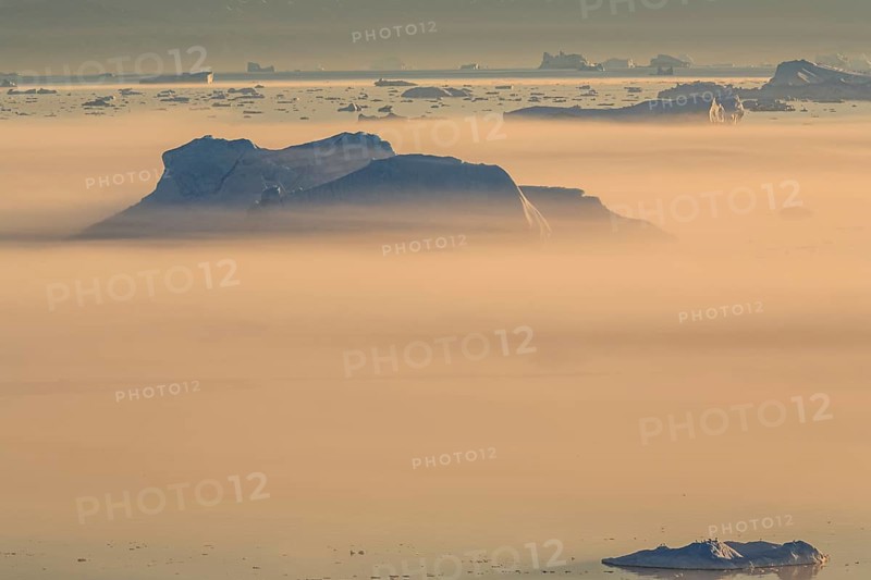 Icebergs in the fog, midnight sun, summer, Ilulissat, Ilulissat Icefjord, Disko Bay, West Greenland, Greenland, North America