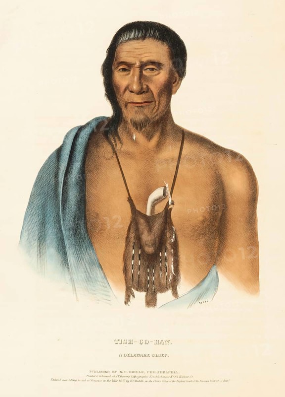 Tish-Co-Han. A Delaware Chief (1837), Native American, Historical Indian Tribes of North America, Charles Bird King (1785, 1862), Historical, digitally restored reproduction from a 19th century original, Record date not stated